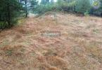 Reality Predaj, pozemok pre rodinný dom   4217 m2 Gelnica, Slovenské Cechy - Nad Krížovou - EXKLUZÍVNE 