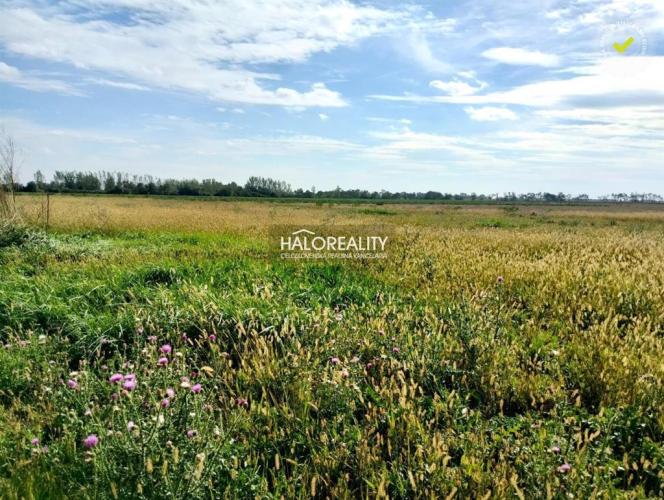 Reality Predaj, pozemok pre rodinný dom   763 m2 Štefanovičová - EXKLUZÍVNE HALO REALITY