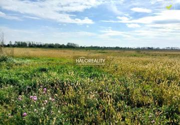 Reality Predaj, pozemok pre rodinný dom   763 m2 Štefanovičová - EXKLUZÍVNE HALO REALITY