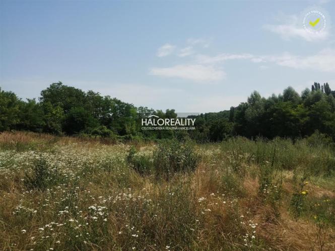 Reality Predaj, záhradný pozemok   700 m2 Dubník
