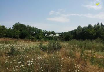 Reality Predaj, záhradný pozemok   700 m2 Dubník