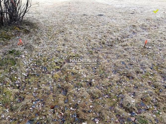 Reality Predaj, rekreačný pozemok Nálepkovo, Zahájnická cesta 760 m2 - EXKLUZÍVNE HALO REALITY