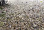 Reality Predaj, rekreačný pozemok Nálepkovo, Zahájnická cesta 760 m2 - EXKLUZÍVNE HALO REALITY