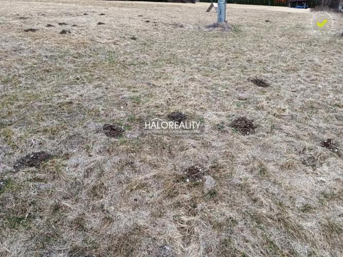 Reality Predaj, rekreačný pozemok Nálepkovo, Zahájnická cesta 1050 m2 - EXKLUZÍVNE HALO REALITY