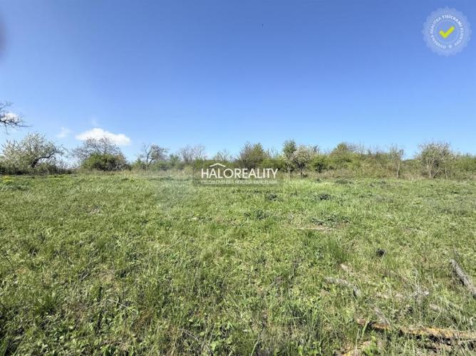 Reality Predaj, záhradný pozemok   860 m2 Rybník - ZNÍŽENÁ CENA