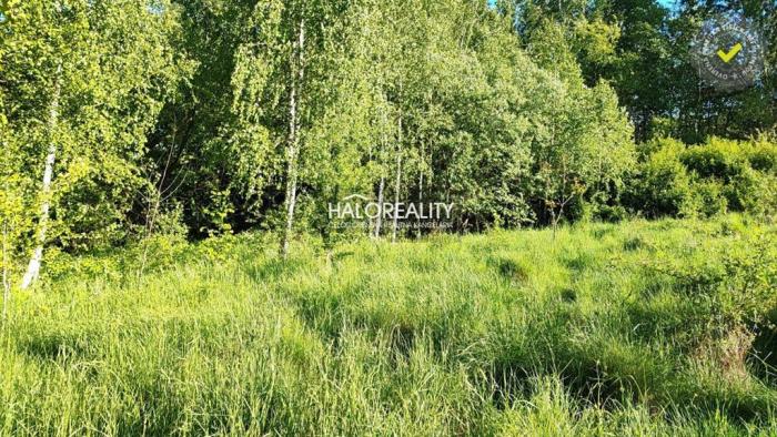 Reality Predaj, pozemok pre rodinný dom   1882 m2 Detva - EXKLUZÍVNE HALO REALITY