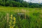 Reality Predaj, pozemok pre rodinný dom 3600 m2 Považská Bystrica, Orlové