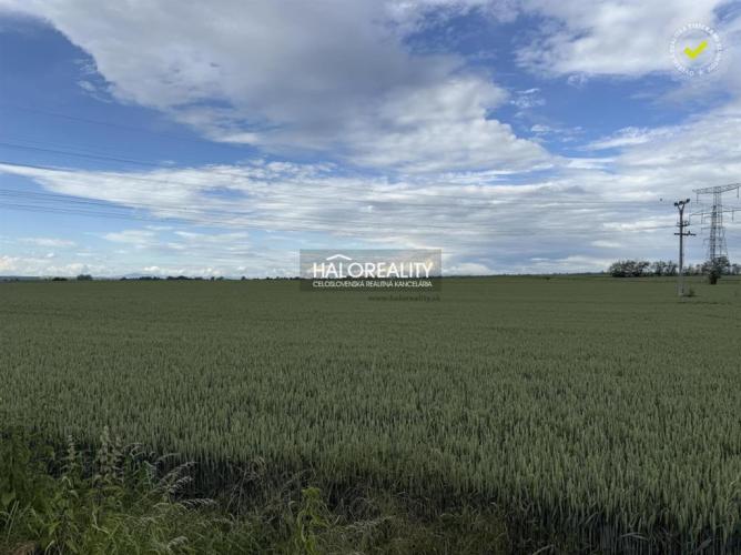 Reality Predaj, pozemok   2877 m2 Hul, trvalý trávny porast - EXKLUZÍVNE HALO REALITY