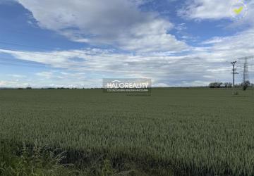 Reality Predaj, pozemok   2877 m2 Hul, trvalý trávny porast - EXKLUZÍVNE HALO REALITY