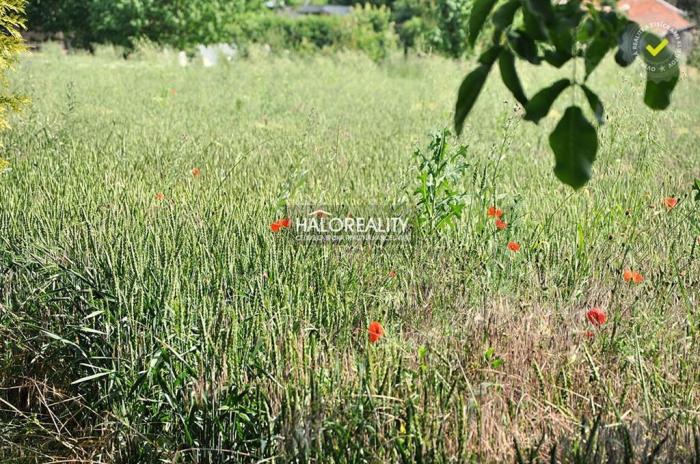 Reality Predaj, pozemok pre rodinný dom   1545 m2 Ondrejovce - ZNÍŽENÁ CENA