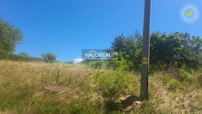 Reality Predaj, záhradný pozemok   2529 m2 Žemberovce - ZNÍŽENÁ CENA