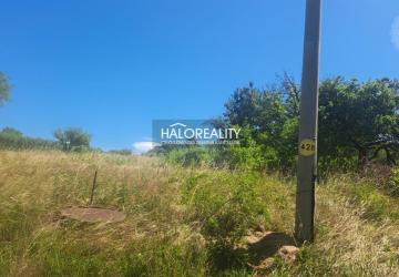 Reality Predaj, záhradný pozemok   2529 m2 Žemberovce - ZNÍŽENÁ CENA