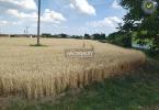 Reality Predaj, pozemok pre rodinný dom   2605 m2 Kútniky, Heďbeneéte - EXKLUZÍVNE HALO REALITY