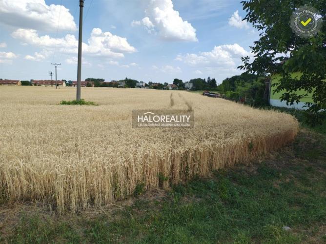 Reality Predaj, pozemok pre rodinný dom   2605 m2 Kútniky, Heďbeneéte - EXKLUZÍVNE HALO REALITY