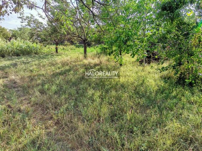 Reality Predaj, pozemok pre rodinný dom   600 m2 Horná Streda