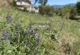 Reality Predaj, pozemok pre rodinný dom   1244 m2 Prešov - EXKLUZÍVNE HALO REALITY