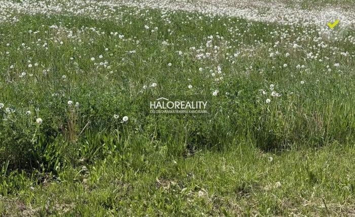 Reality Predaj, pozemok pre rodinný dom 800 m2 Andovce