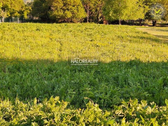 Reality Predaj, pozemok pre rodinný dom   2039 m2 Horné Orešany, Majdán