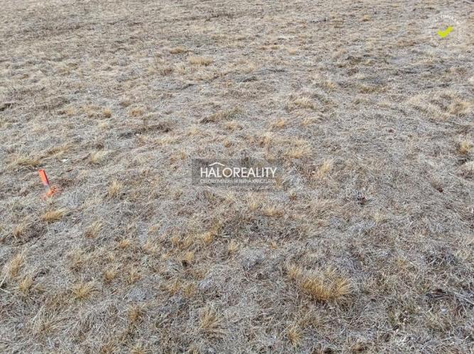 Reality Predaj, rekreačný pozemok Nálepkovo, Zahájnicka cesta 760 m2 - EXKLUZÍVNE HALO REALITY