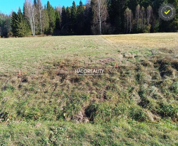 Reality Predaj, rekreačný pozemok Nálepkovo, Zahájnicka cesta 617 m2 - EXKLUZÍVNE HALO REALITY