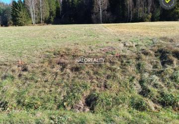 Reality Predaj, rekreačný pozemok Nálepkovo, Zahájnicka cesta 617 m2 - EXKLUZÍVNE HALO REALITY