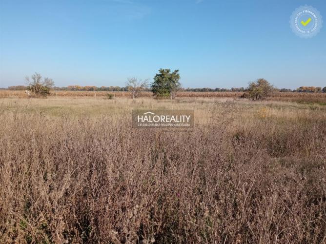 Reality Predaj, pozemok pre rodinný dom   505 m2 Cífer, Pác