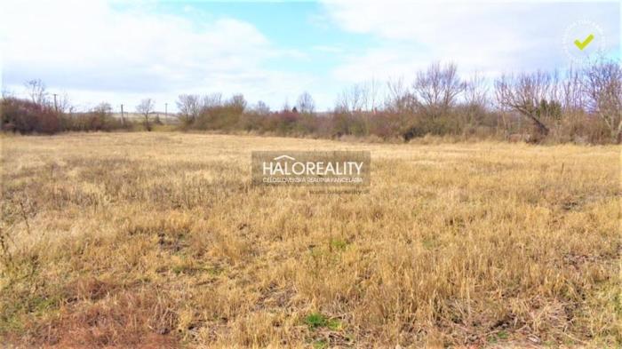 Reality Predaj, pozemok pre rodinný dom   5536 m2 Ipeľský Sokolec