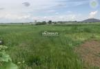 Reality Predaj, pozemok pre rodinný dom 600m2 Golianovo