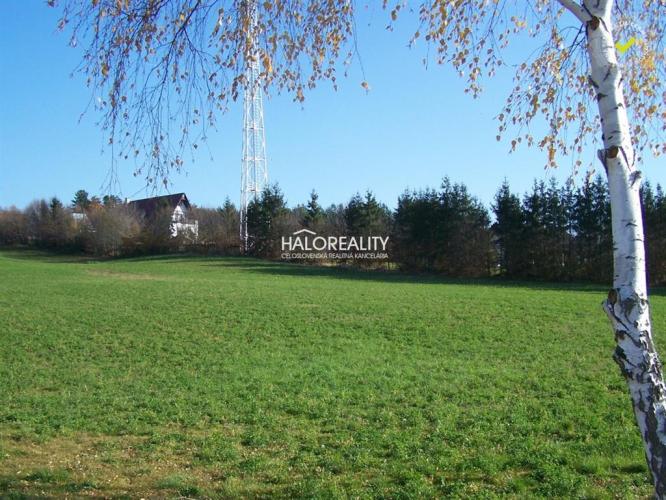 Reality Predaj, pozemok pre rodinný dom   7430 m2 Oslany