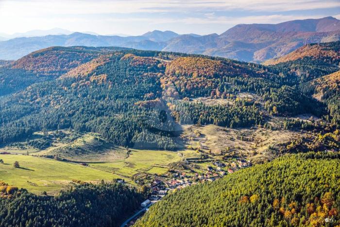 Reality Stavebný na rodinný dom, Brieštie