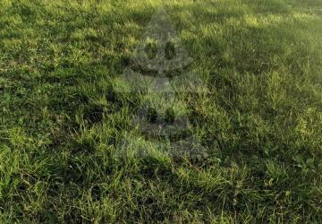 Reality Stavebný na rodinný dom, Komárno, Alžbetínsky ostrov