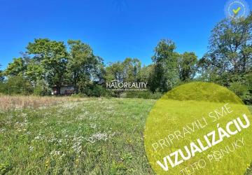 Reality Predaj, pozemok pre rodinný dom   703 m2 Levice, Kalinčiakovo
