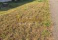 Reality PREDAJ – Pozemok s rozlohou 481m2 – SOBRANCE