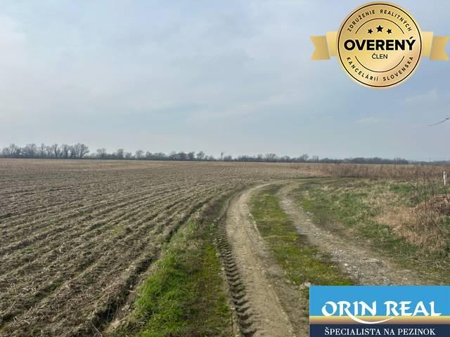 Reality Zálesie orná pôda na predaj 3237m2 /21,- Eur / m2