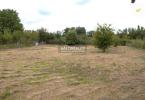 Reality Predaj, pozemok pre rodinný dom   1146 m2 Cífer