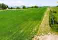 Reality 69,-€ / m² - INVESTIČNÉ POZEMKY PRE RD / OV, PREŠOV, SOLIVAR