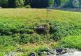 Reality Predaj, rekreačný pozemok Nálepkovo, Zahajnická cesta 617 m2 - EXKLUZÍVNE HALO REALITY