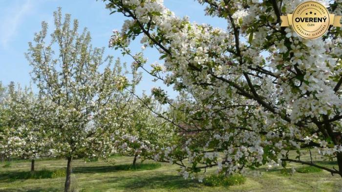 Reality Kúpime pôdu, záhradu, vinohrad v okrese Pezinok.