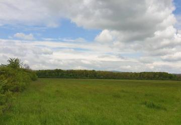 Reality Kúpime pôdu, záhradu, vinohrad v okrese Pezinok.