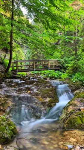 Reality Pozemok v malebnej obci Trnava pri Laborci