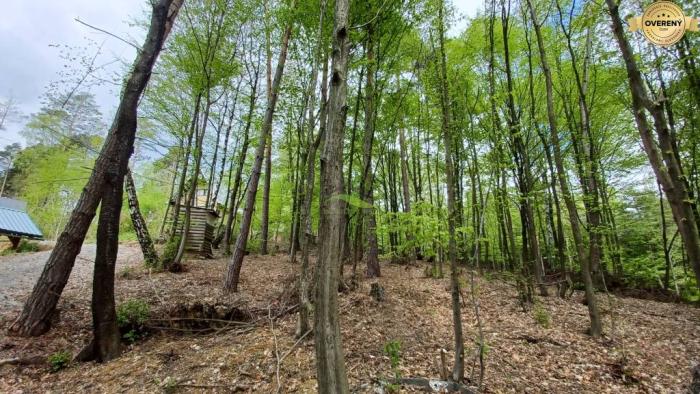 Reality Pozemok Domaša-Nová Kelča