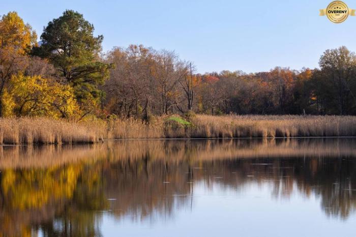 Reality Ponuka pozemku na chalupu blízko rybníka