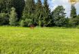 Reality Na predaj slnečný pozemok vhodný na rekreáciu v obci Sverepec