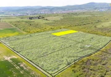 Reality Pozemok v Modre s výmerou až 5.666 m2