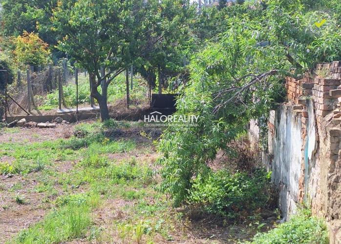 Reality Predaj, pozemok pre rodinný dom   1364 m2 Dolné Orešany