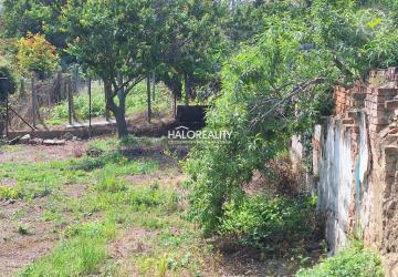 Reality Predaj, pozemok pre rodinný dom   1364 m2 Dolné Orešany