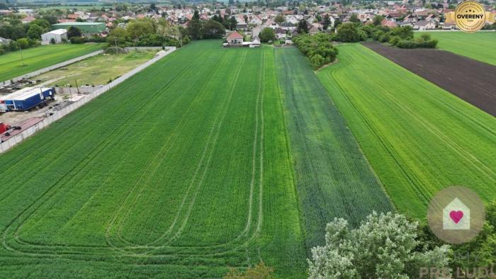 Reality Veľký priestranný pozemok o rozlohe 7445 m2, Jelka