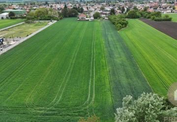 Reality Veľký priestranný pozemok o rozlohe 7445 m2, Jelka