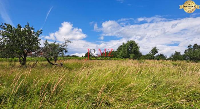 Reality Rekreačný pozemok 2.750 m2, šírka 21 m, Jabloňovce (SM - 860)