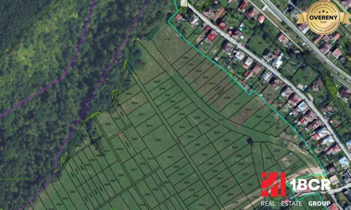 Reality INVESTIČNÝ POZEMOK, SNEŽNICA